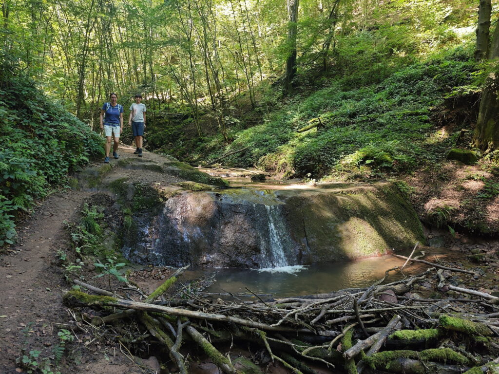 Die Butzerbachtal Wasserfälle bestehen aus mehreren Stufen