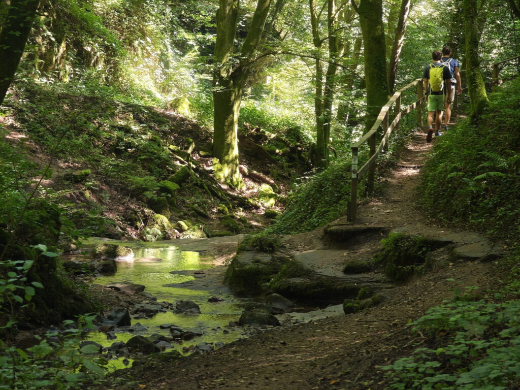 Das wildromantische Butzerbachtal in Kordel