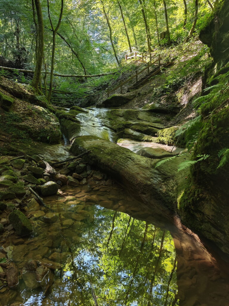 Butzerbachtal Wanderung entlang des Wassers