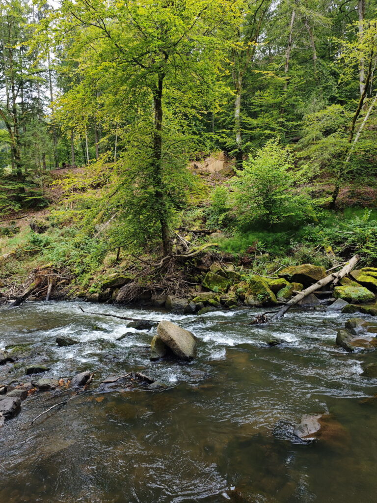 Irreler Wasserfälle